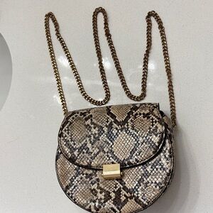 Snake Print - Picked up in Spain - Mango - you could probably replace chain